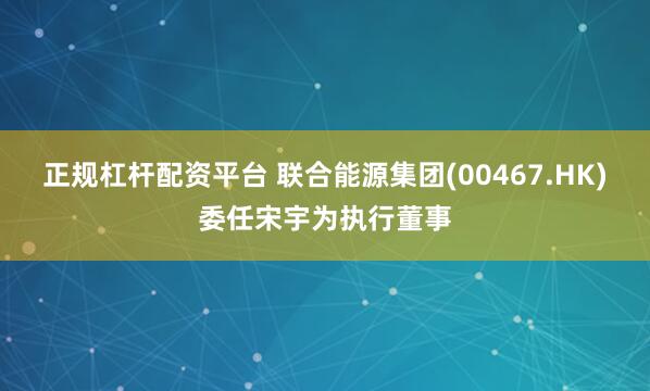 正规杠杆配资平台 联合能源集团(00467.HK)委任宋宇为执行董事