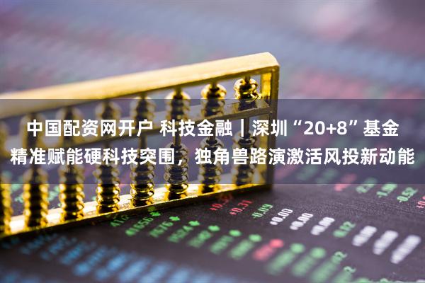 中国配资网开户 科技金融｜深圳“20+8”基金精准赋能硬科技突围，独角兽路演激活风投新动能